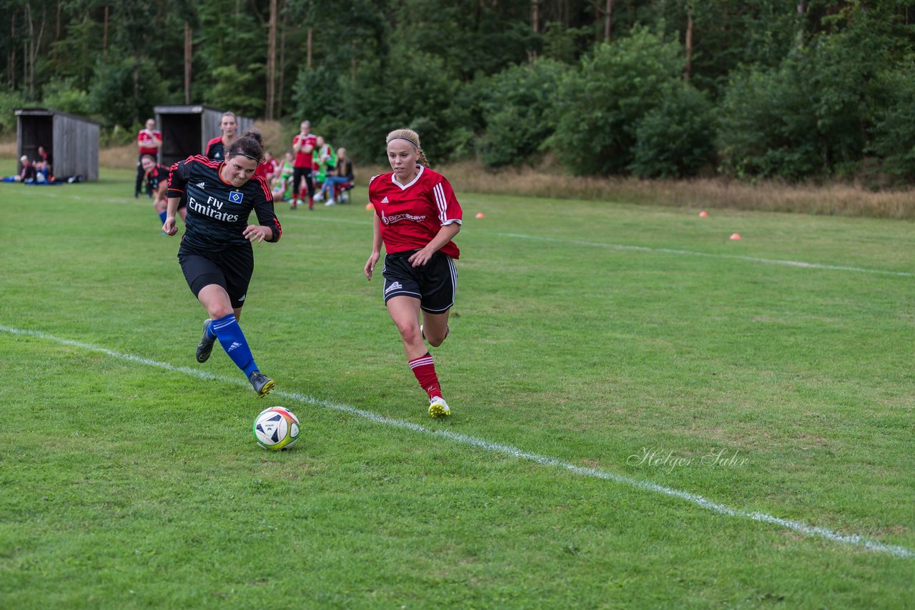 Bild 263 - Frauen SG NieBar - HSV 2 : Ergebnis: 4:3